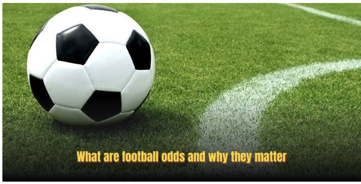How To Read Football Odds Easily For Beginners At Alo789