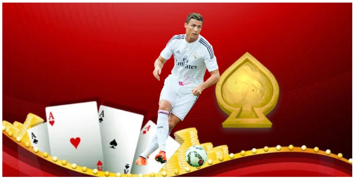 Football Odds Platform Insights and Real Time Match