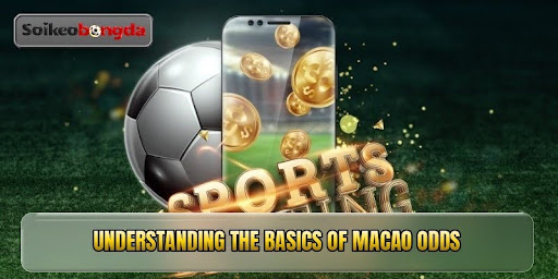 Macao Odds - Professional Football Betting Guide