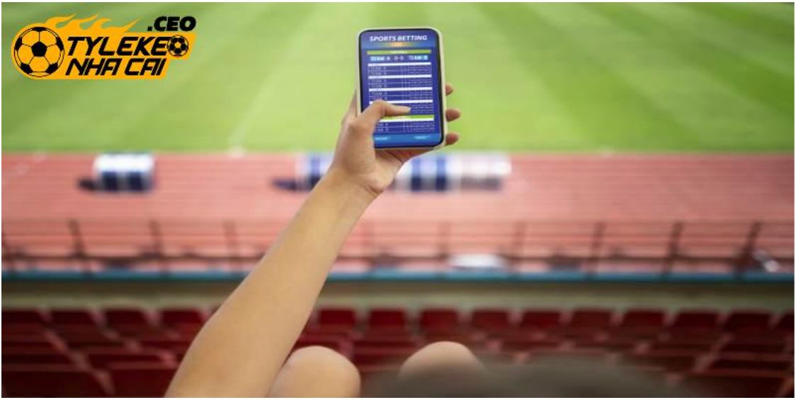 Football Results Updated Quickly And Accurately Online