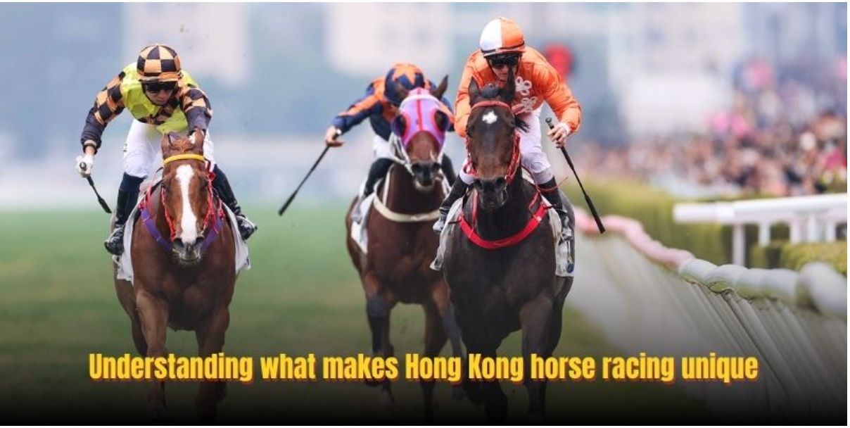 Hong Kong Horse Racing Betting: Everything You Need To Know