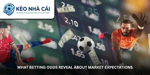 Bookmaker Odds Explained - A Smarter Way to Read Betting Lines