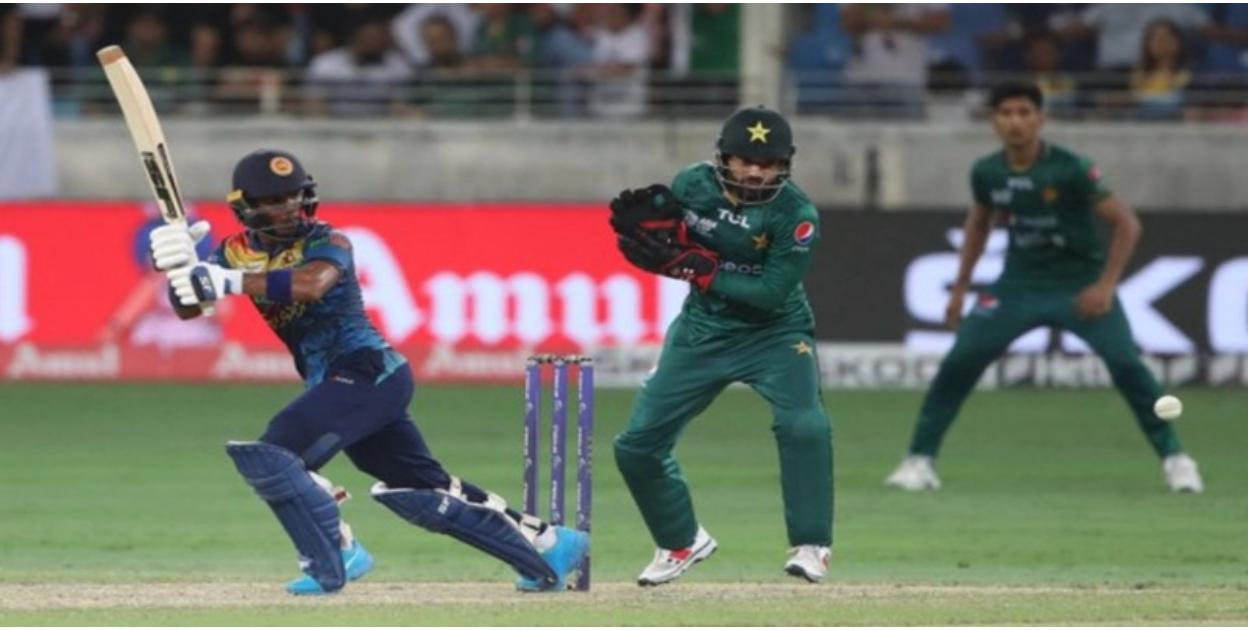 Hướng Dẫn Cược Cricket - Bí Kíp Đẳng Cấp Chơi Cực Tự Tin